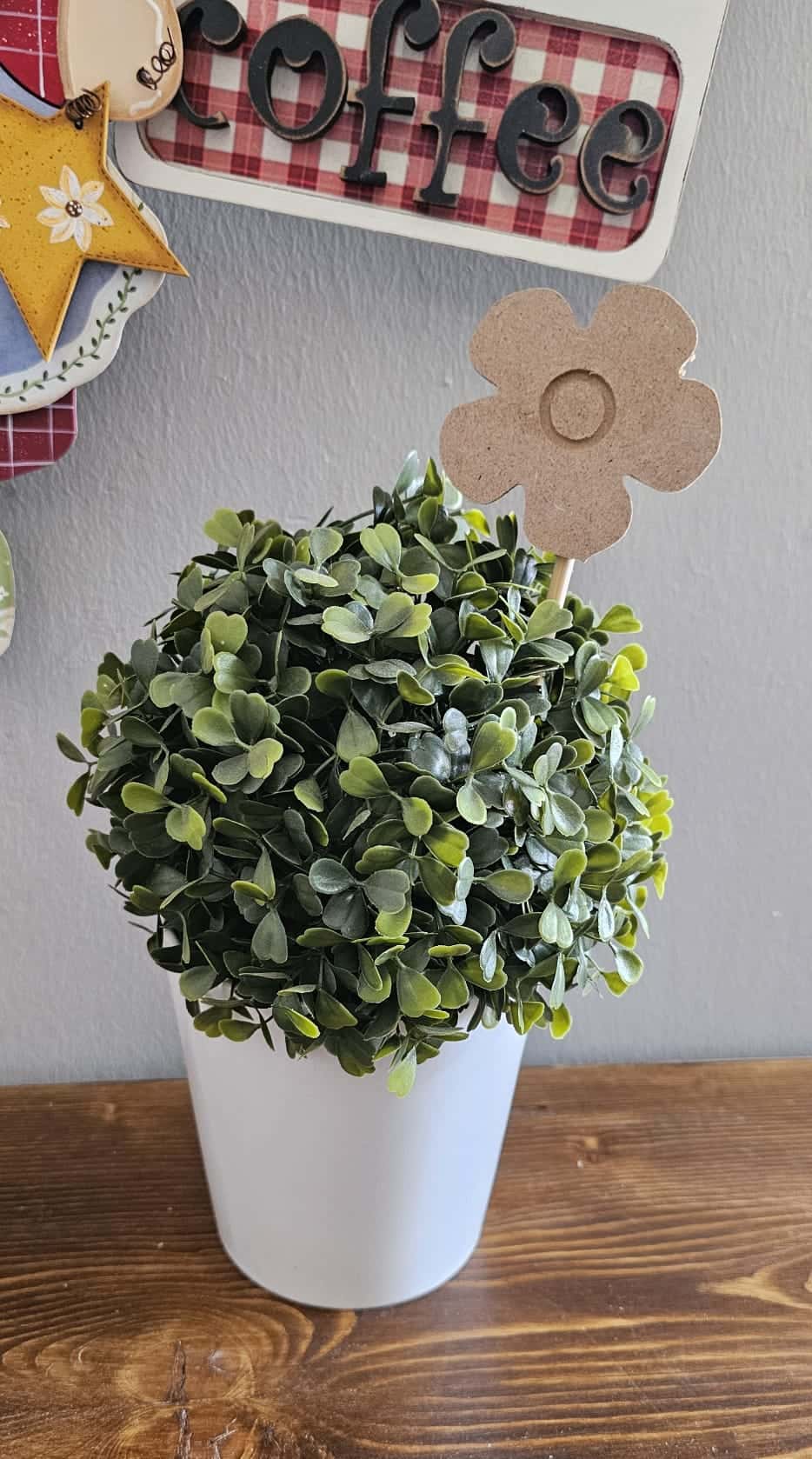 Saksı Süsü kelebek